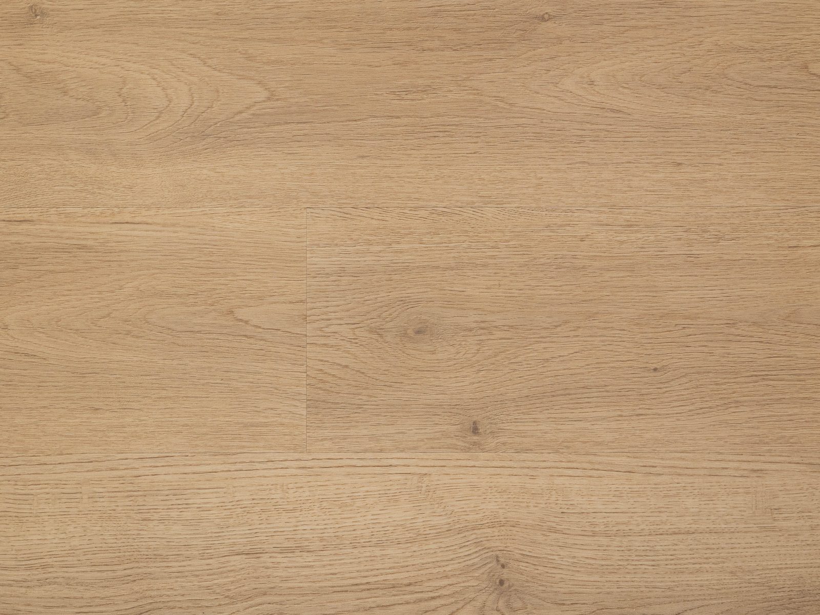 Gent, Europe Plank